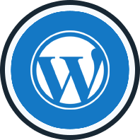 Wordpress Customization Service Provider India